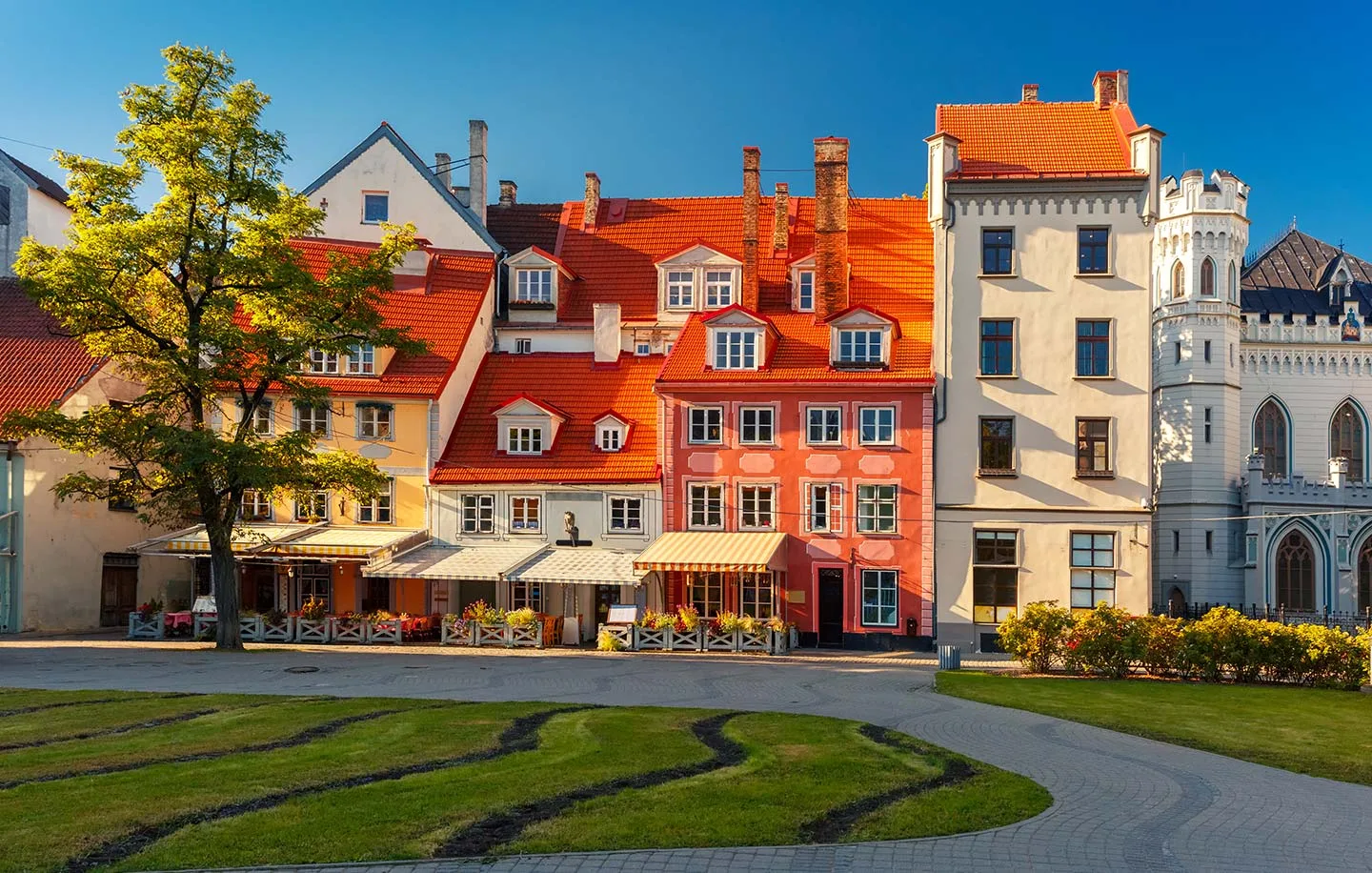 Study medicine in Riga. Study medicine in Latvia.