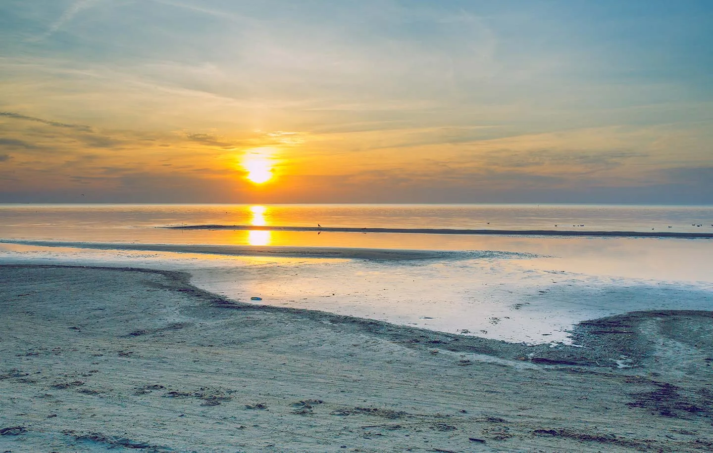 Study medicine in Riga. Study medicine in Latvia.