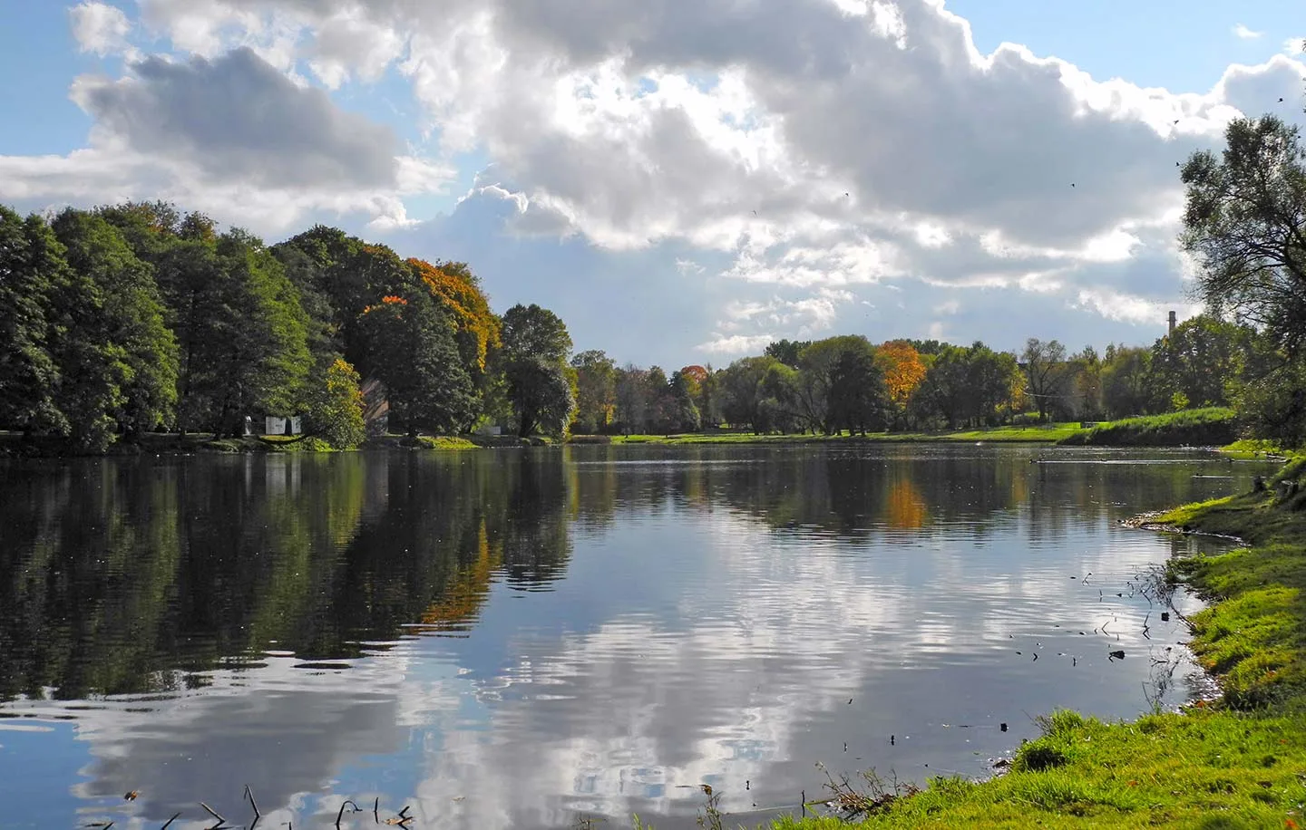 Study medicine in Riga. Study medicine in Latvia.