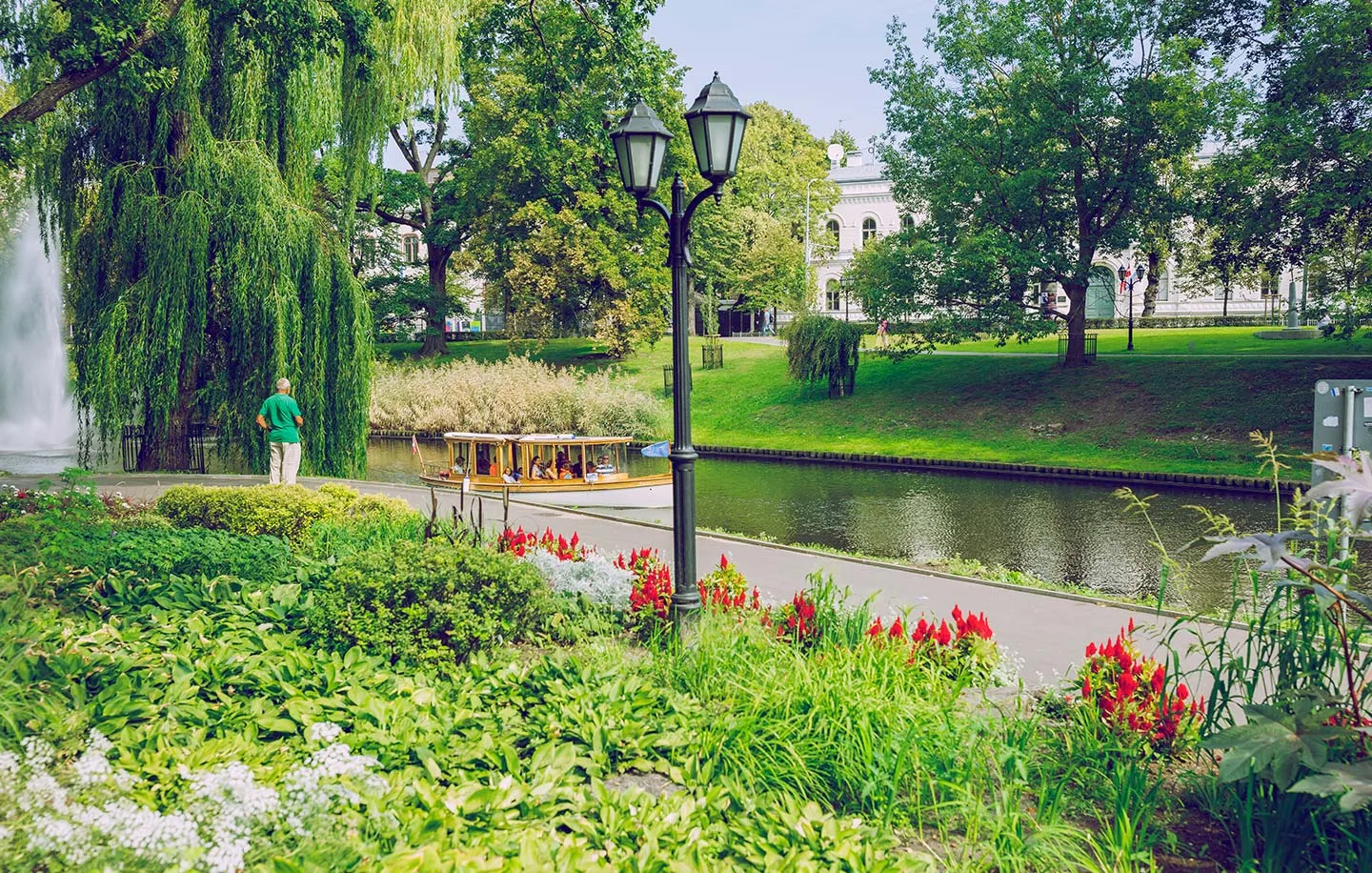 Study medicine in Riga. Study medicine in Latvia.