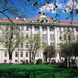 Victor Babes Universität Timișoara, Rumänien - Medizinstudium im Ausland