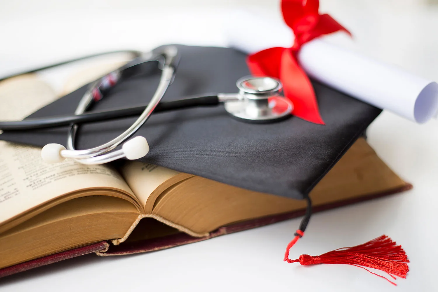 Model degree programme in Medicine? What you need to know!</trp-post-container