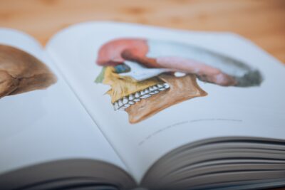 Bücher für's Medizinstudium.