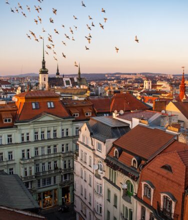 Dein Medizinstudium in Brünn