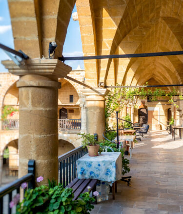 Medizinstudium Nikosia: University of Nicosia