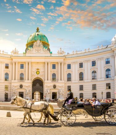 Medizin studieren in Wien