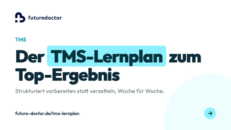 TMS Lernplan: strukturierte Vorbereitung Woche für Woche zum Top-Ergebnis
