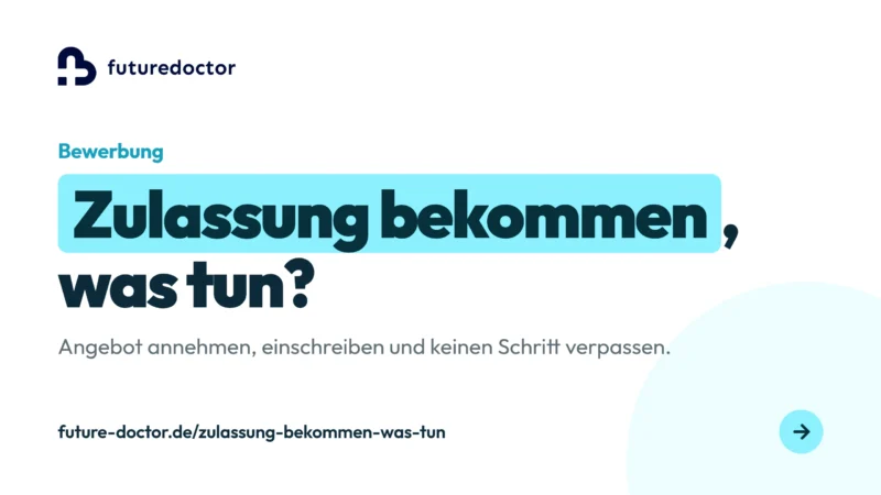 Zulassung bekommen, was tun: die nächsten Schritte vom Angebot bis zur Einschreibung